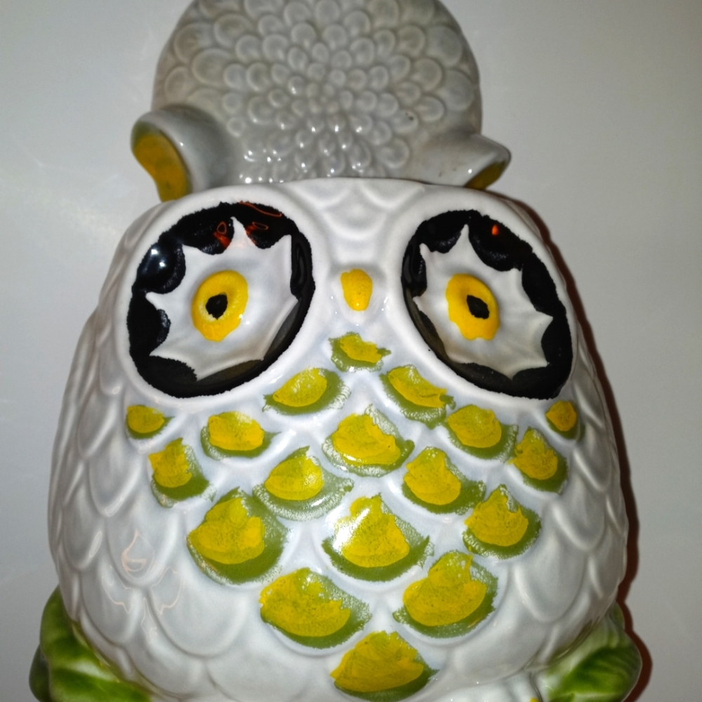 Vintage Owl 🦉 Cookie Jar